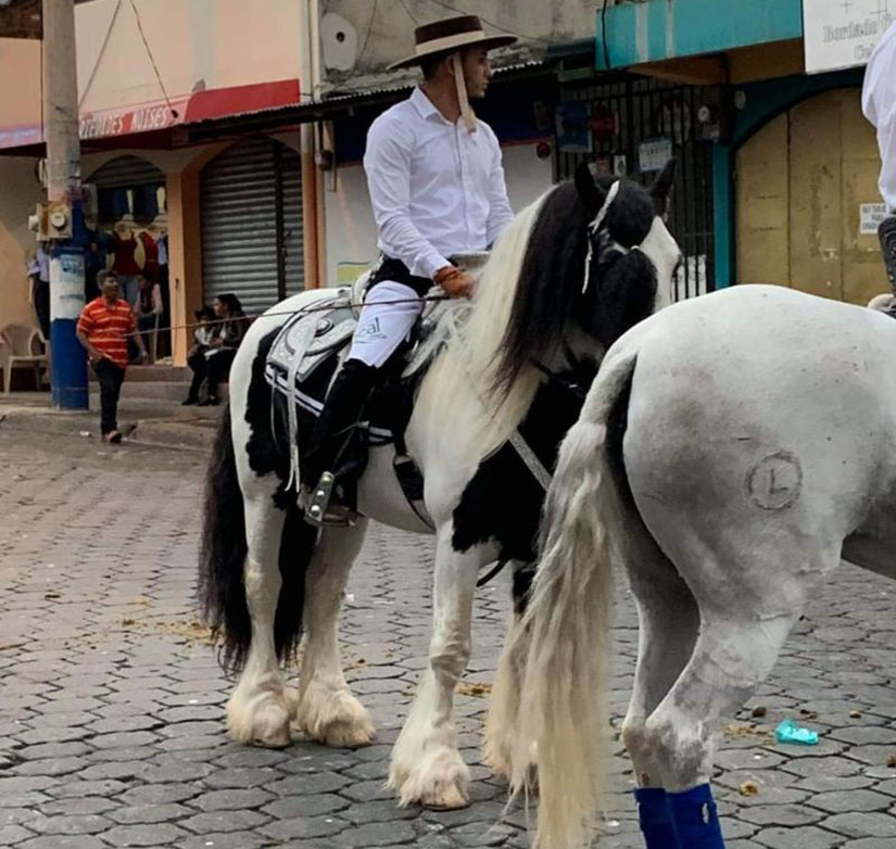 hípica