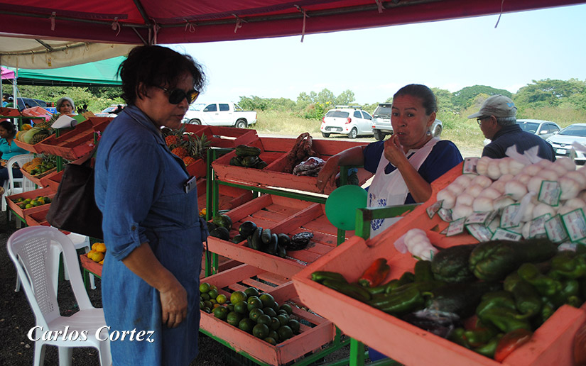 mercados
