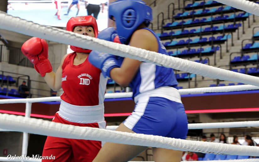 boxeo
