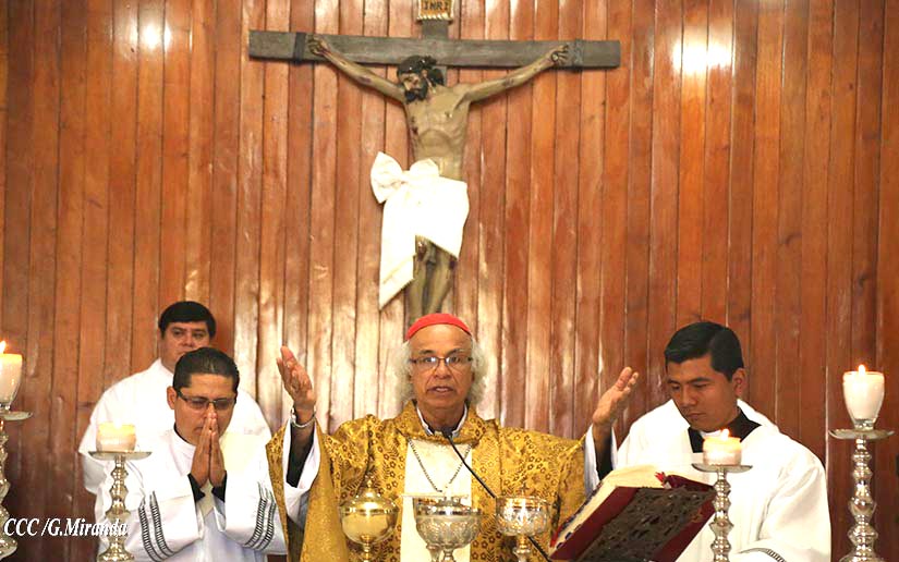 brenes