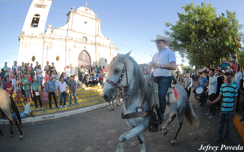 hipicos