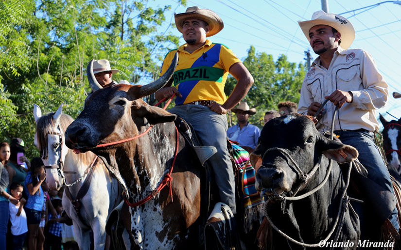 hipicos