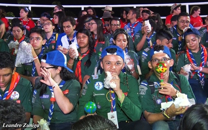 scout