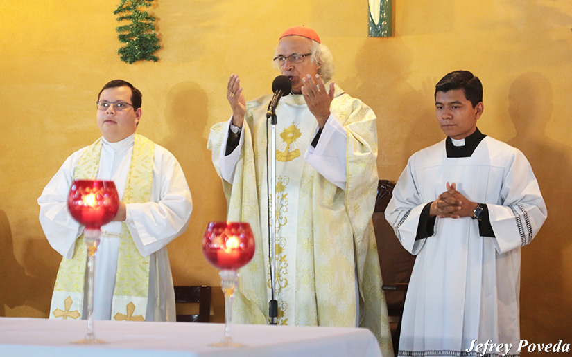cardenal