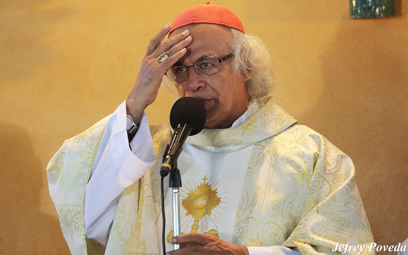 cardenal