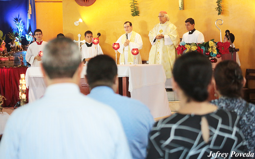 cardenal