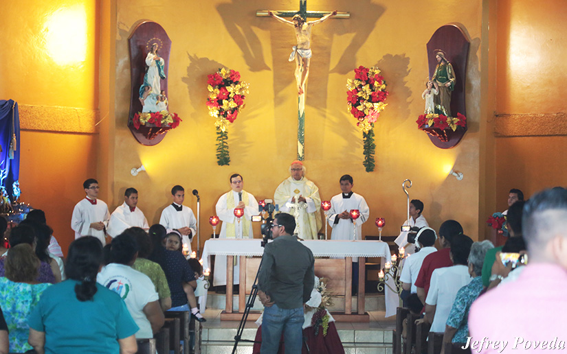 cardenal