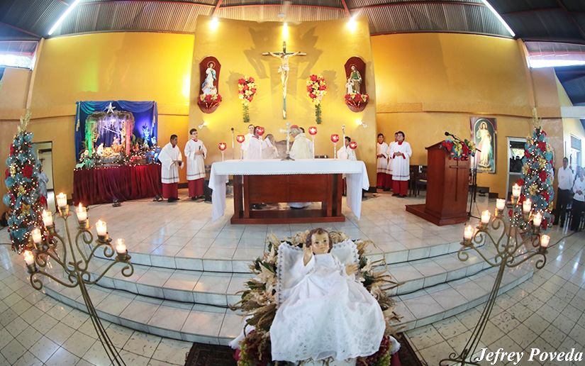 cardenal