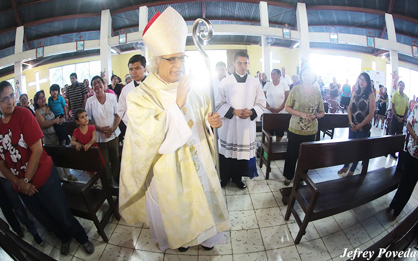 cardenal