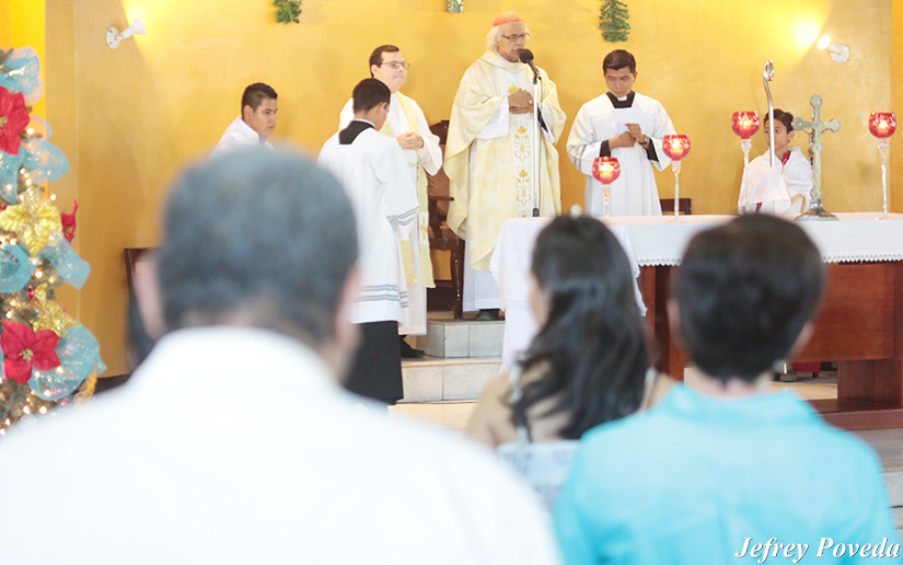 cardenal