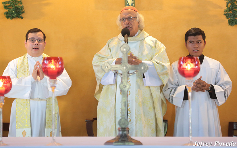 cardenal