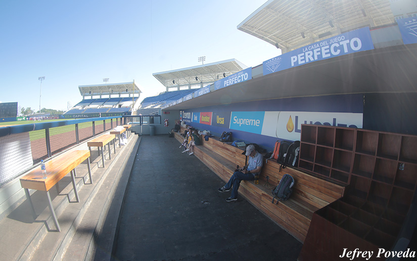 estadio
