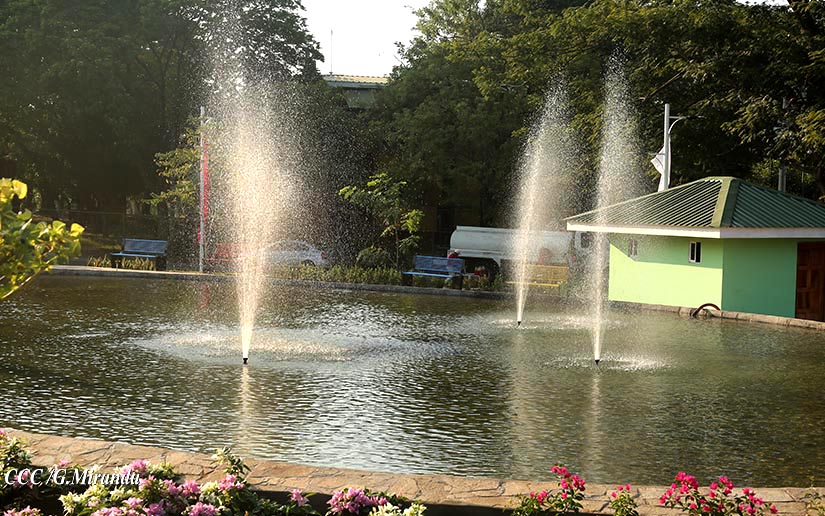 parque