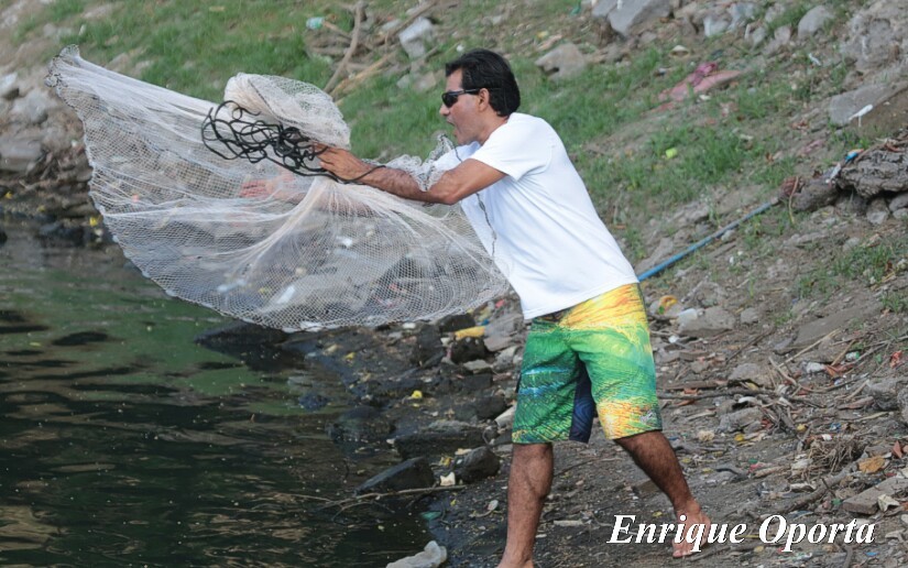 mojarras