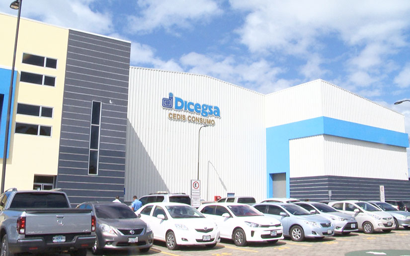 disegsa