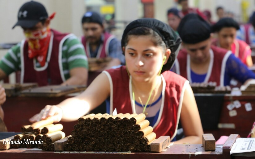 tabaco