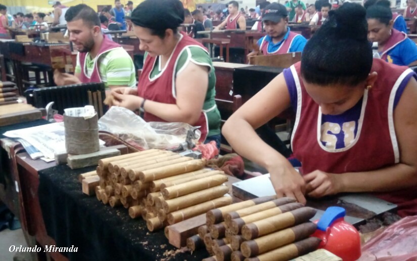 tabaco