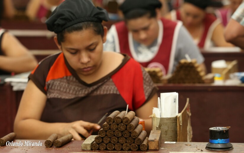 tabaco