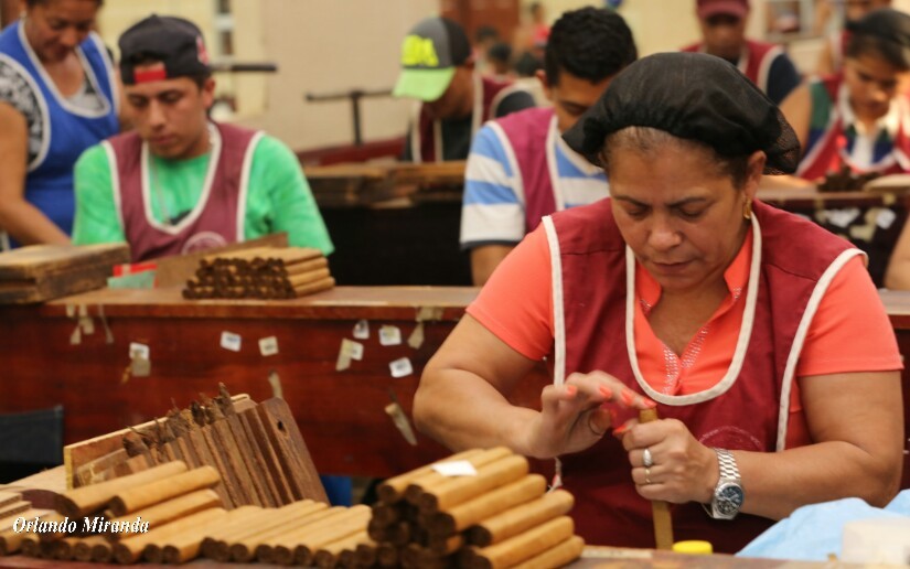 tabaco