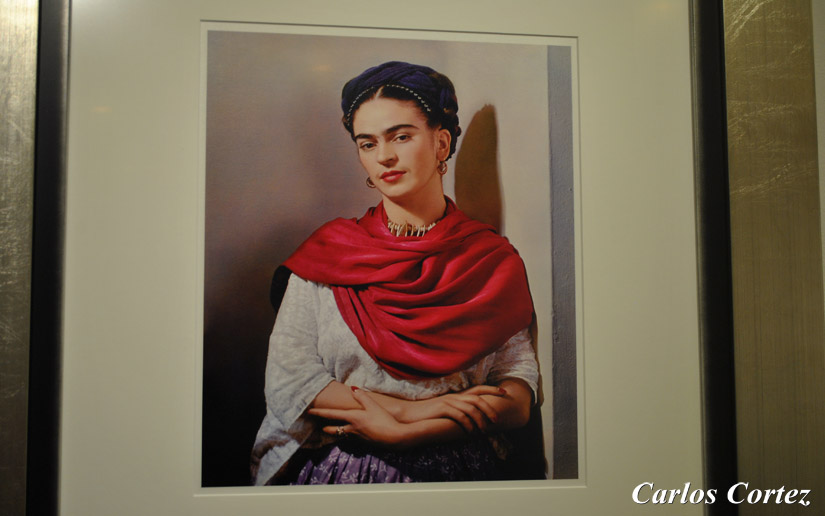 frida