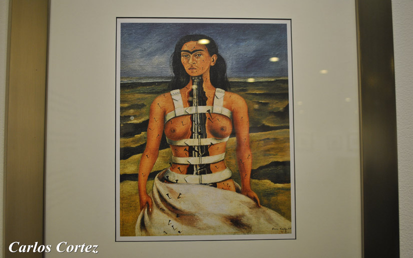 frida