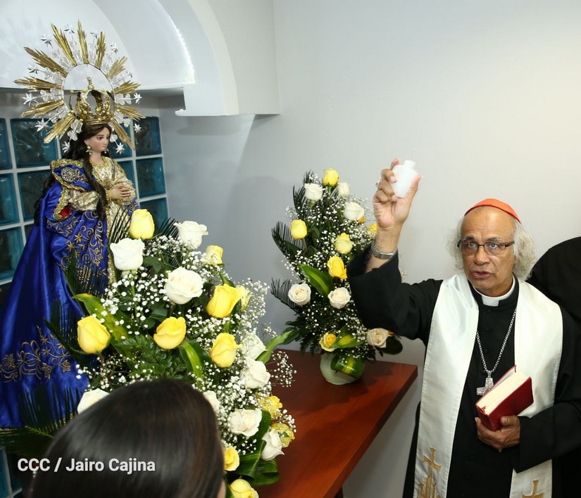 cardenal