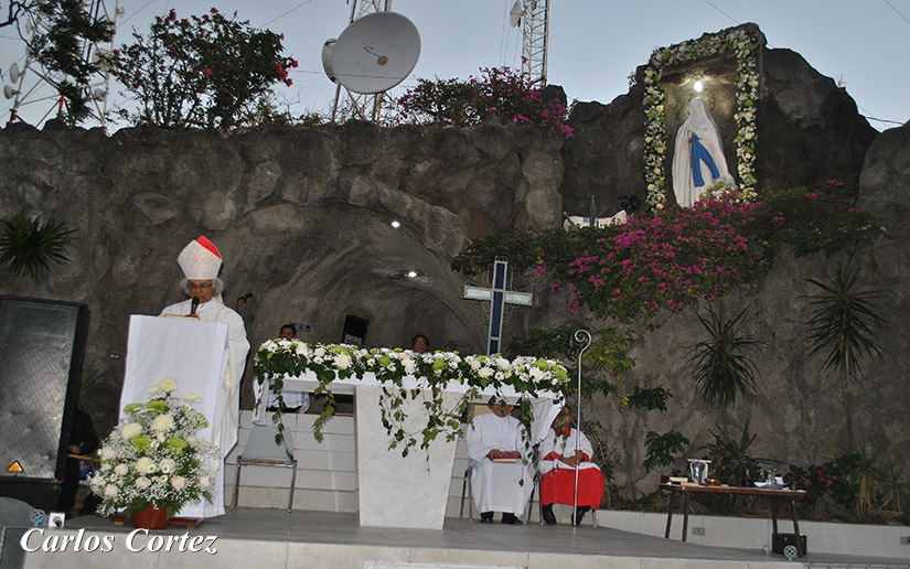 cardenal