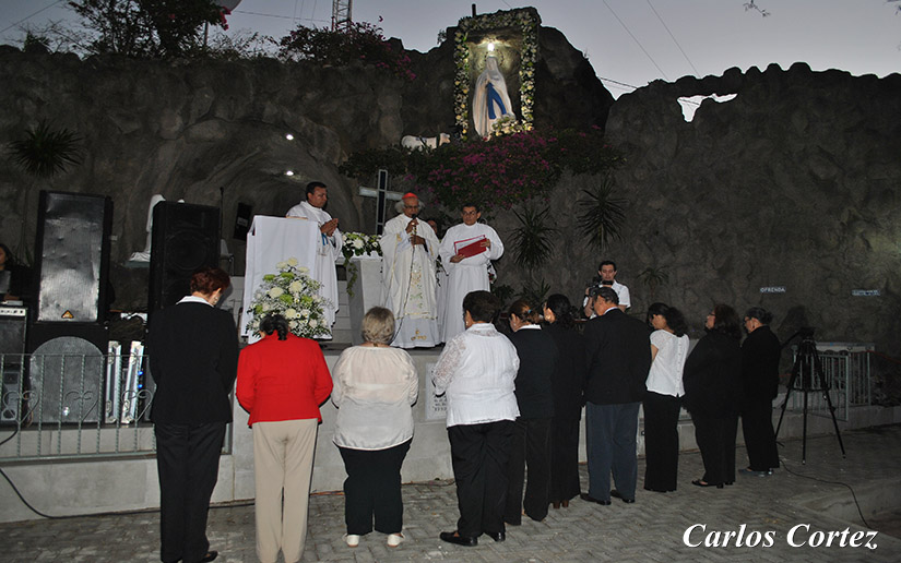 cardenal