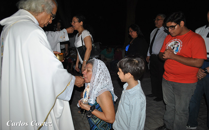 cardenal