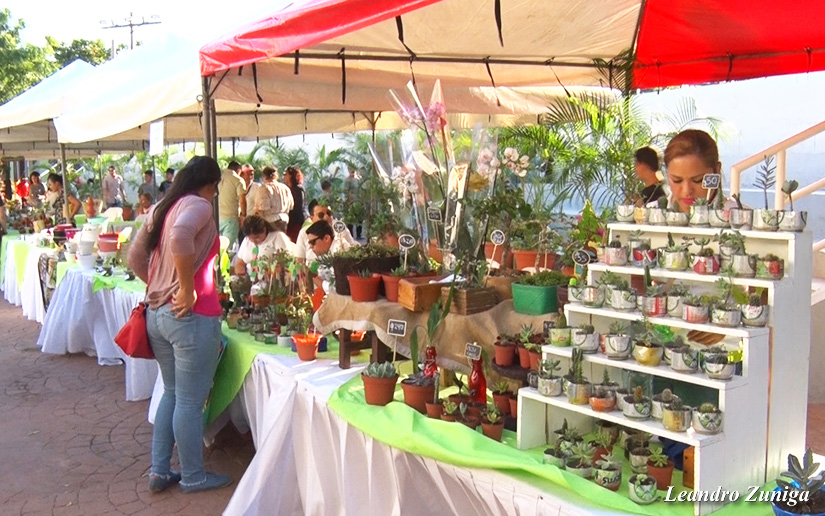 expo