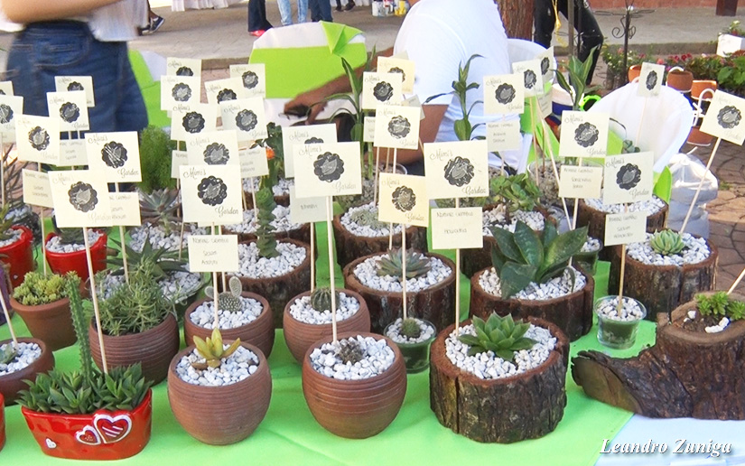 expo