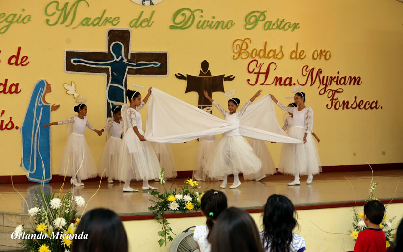 bodas-oro