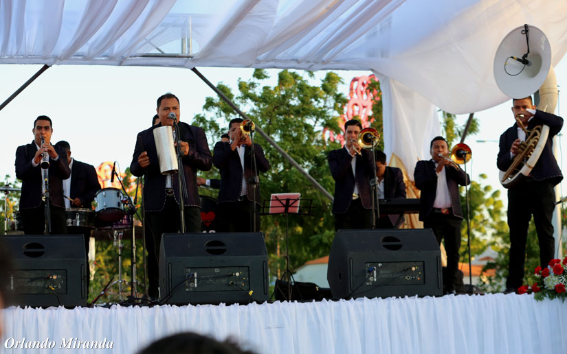 bodas