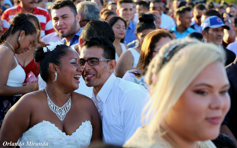 bodas