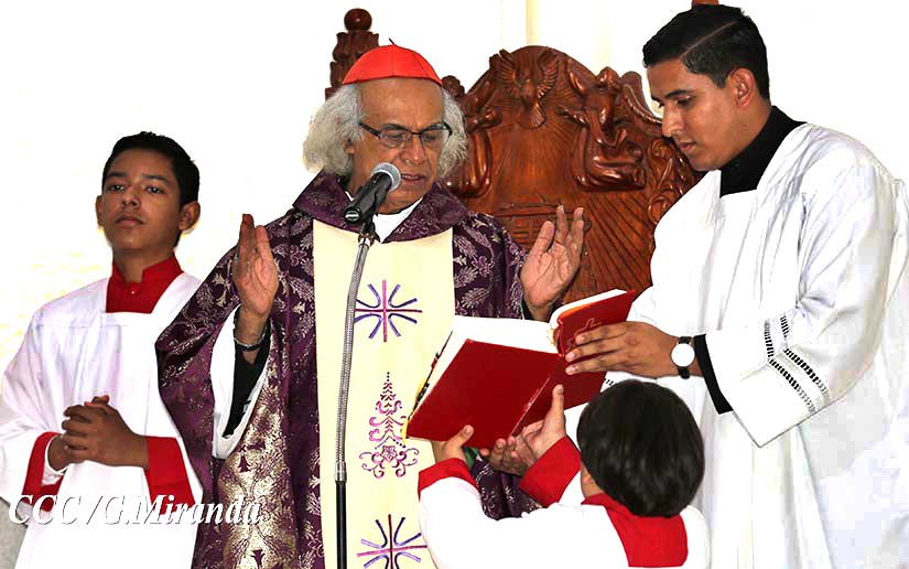 cardenal