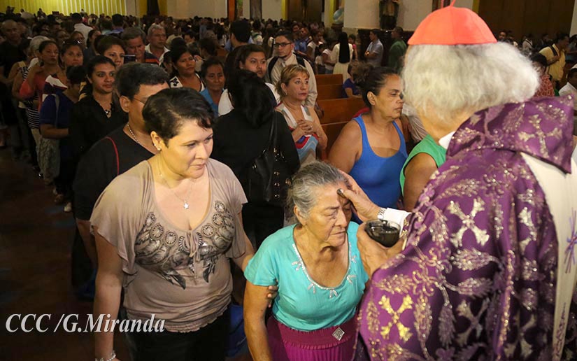 cardenal