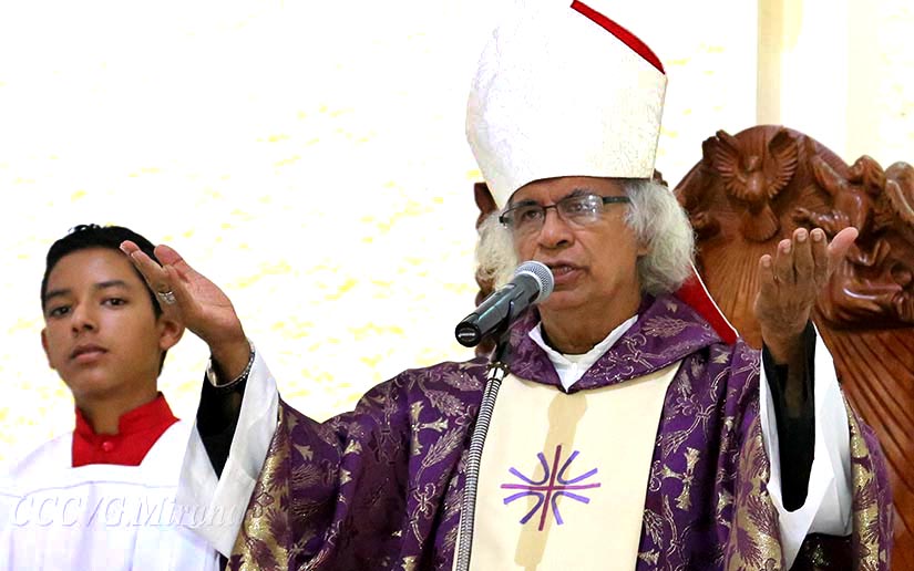 cardenal
