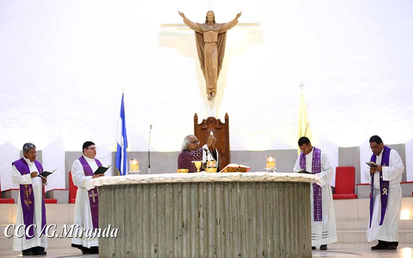 cardenal