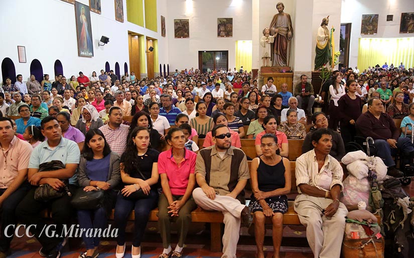 cardenal