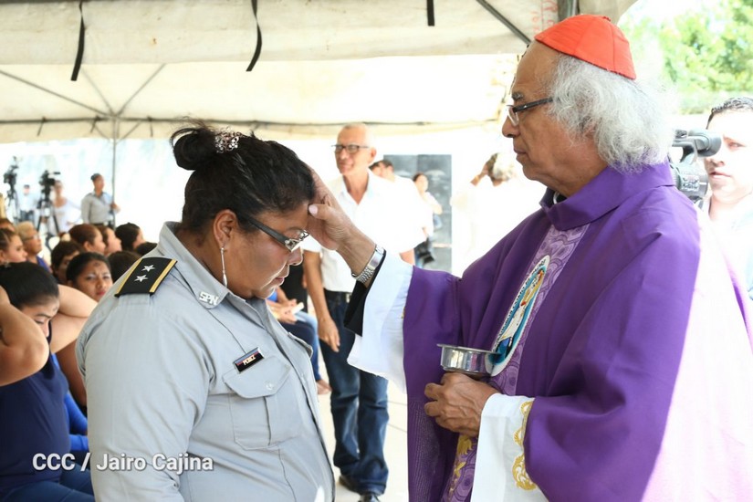 cardenal