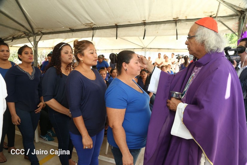 cardenal