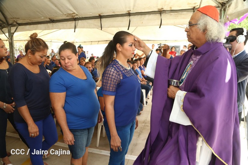 cardenal