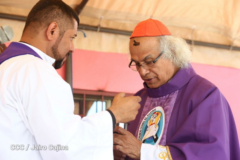 cardenal