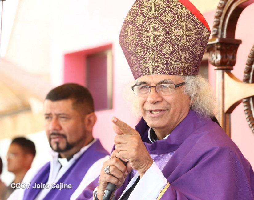 cardenal