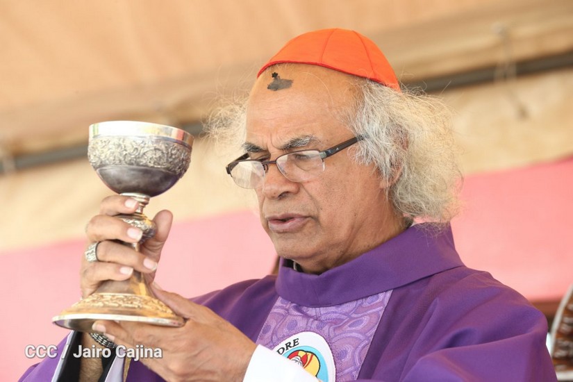 cardenal