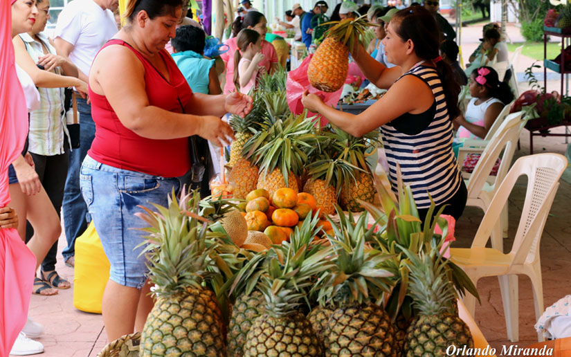 feria