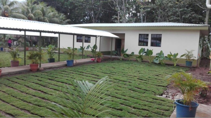 cacao
