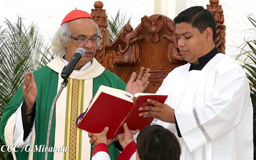 cardenal