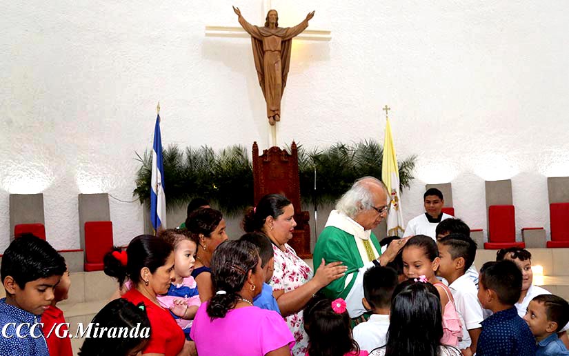 cardenal