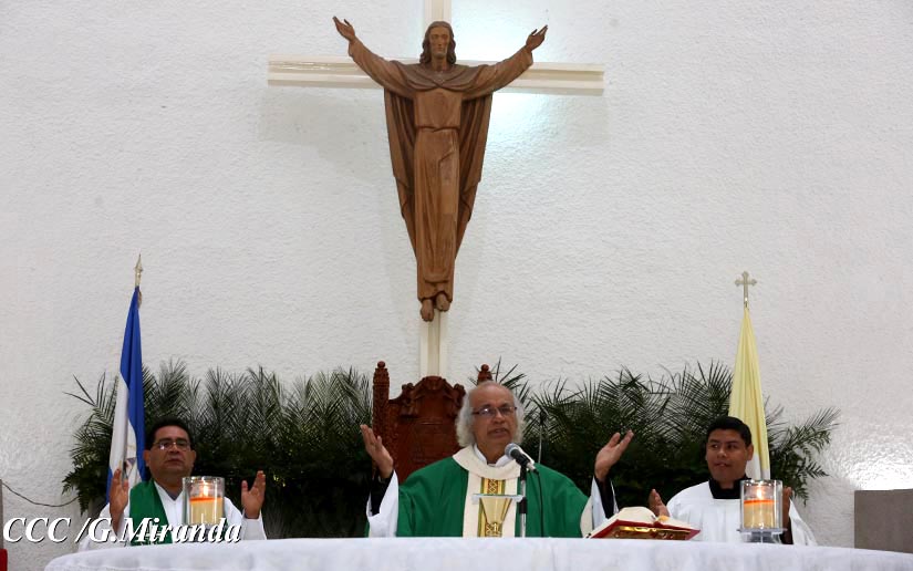 cardenal